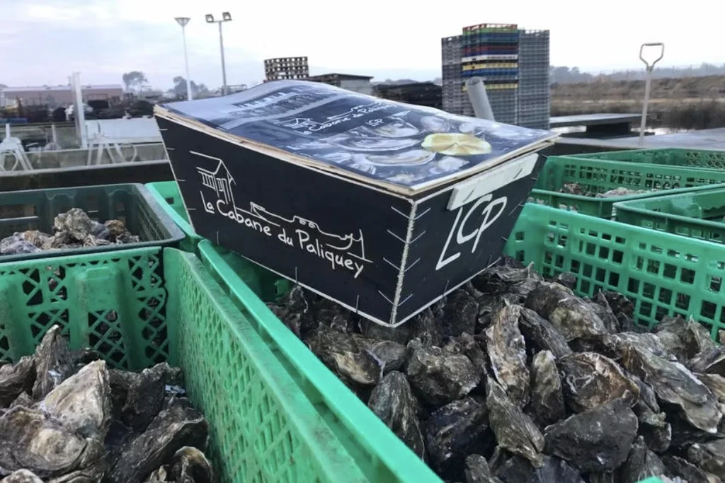 Boîte de livraison à domicile La Cabane du Paliquey