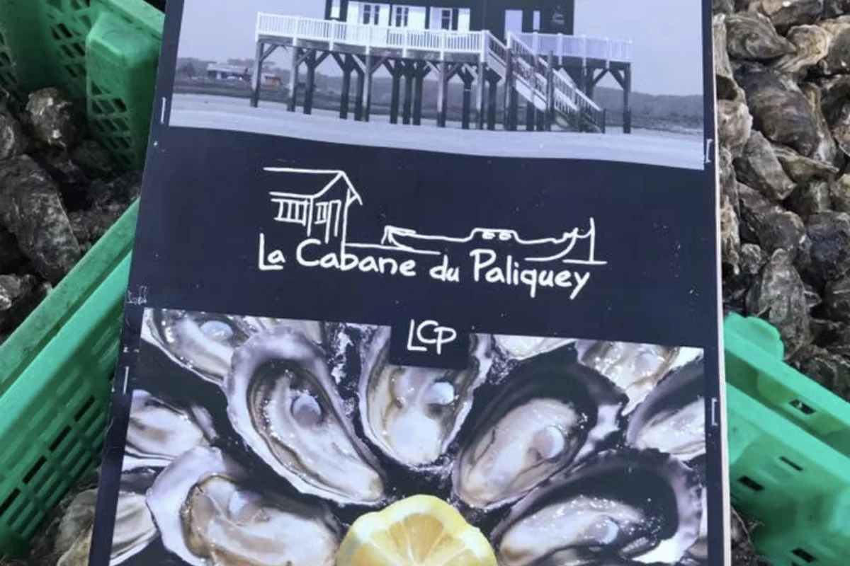 Die besten Genusserlebnisse für Austern und Meeresfrüchte in Arcachon