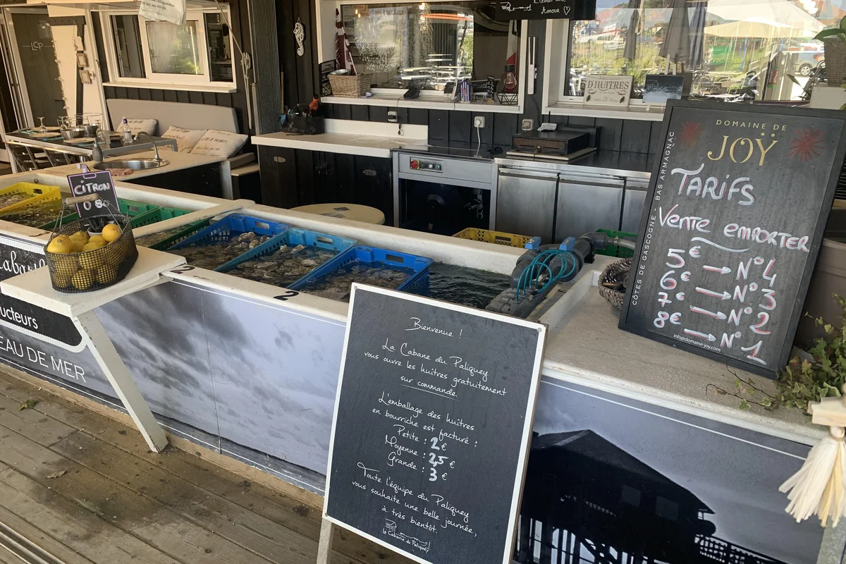 Buy fresh oysters to take away for a tasty moment in Bordeaux
