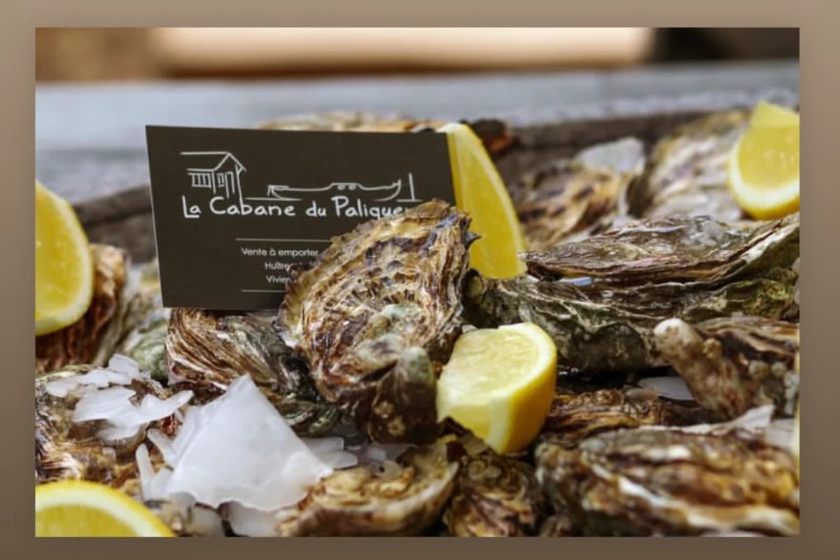 Migliori capanni ostreicoli per assaggiare ostriche e frutti di mare vicino a Bordeaux