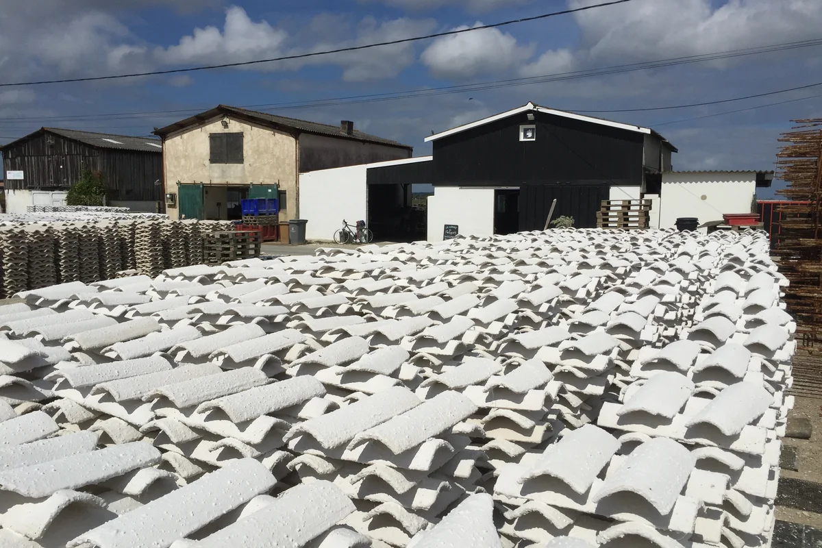 Oyster hut in Gujan-Mestras offering tasting and sales on site