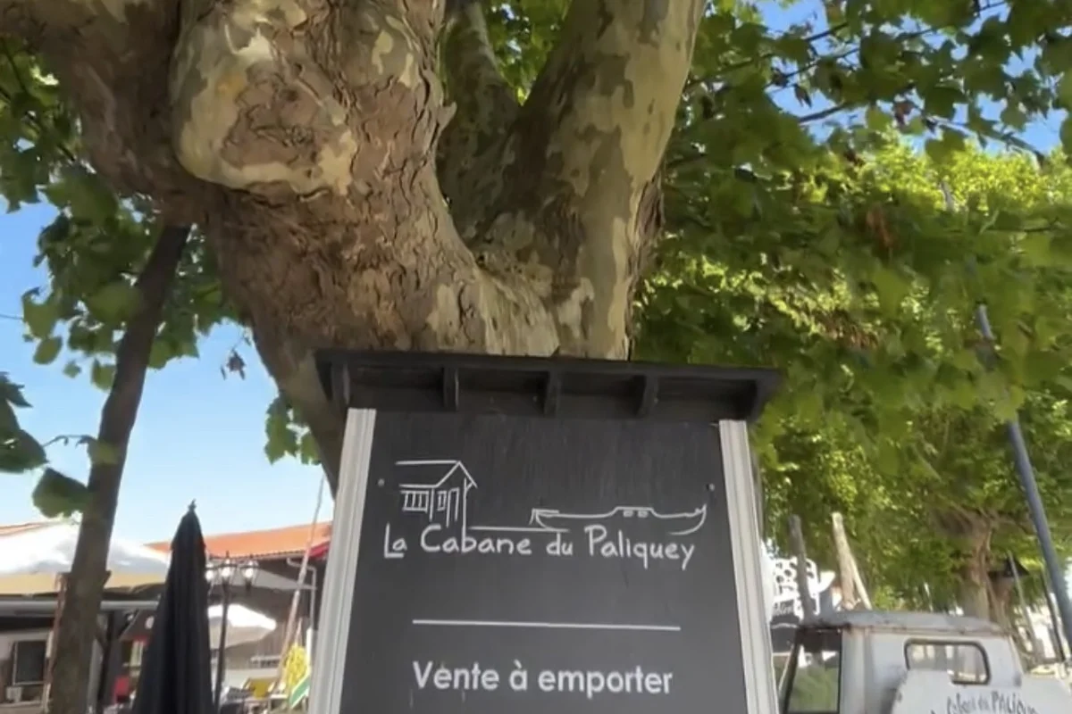 Wo kann man dieses Wochenende am Bassin d'Arcachon frische Austern genießen?