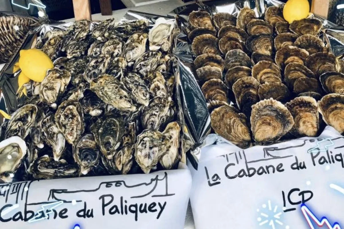 Wo findet man frische Austern und Meeresfrüchte in der Nähe von Bordeaux?